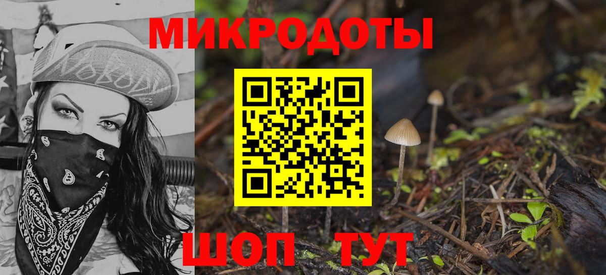 Псилоцибиновые грибы GOLDEN TEACHER  Вход с VPN  Чапаевск 